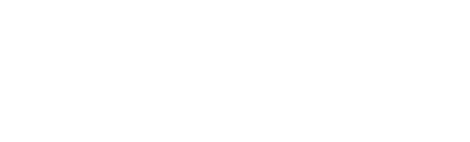Horizon International School